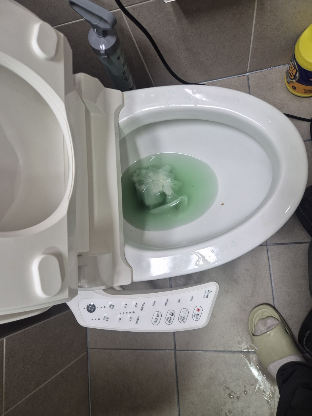 작업 후 변기 안쪽을 확인하는 사진